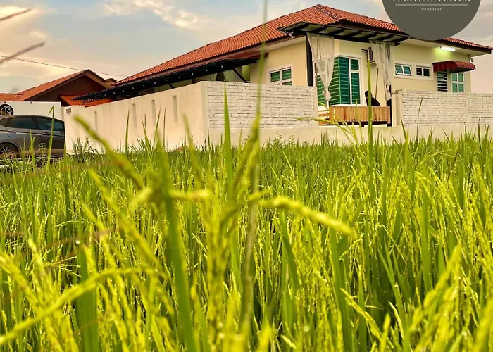 Harvest Haven Homestay